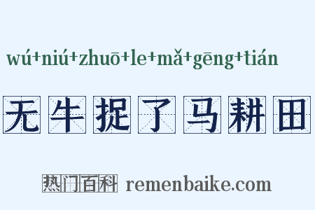 无牛捉了马耕田是什么意思的图片